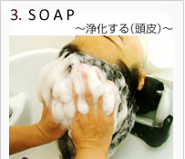 ３.SOAP ～浄化する（頭皮）～